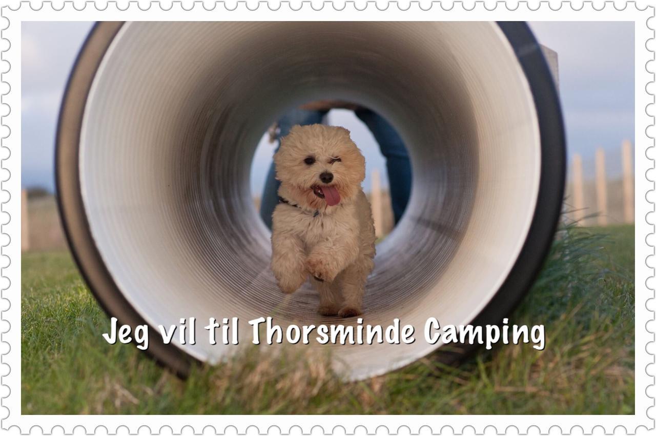 Thorsminde Camping & Cottages المظهر الخارجي الصورة
